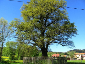 Smutná zpráva