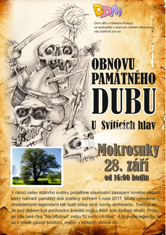 Obnova památného dubu